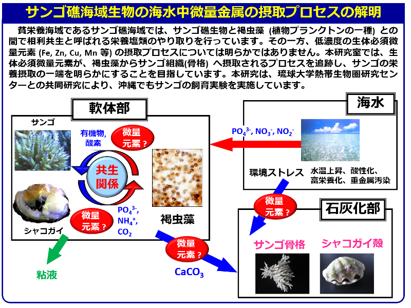 麻布 大学 ポータル