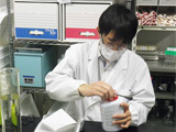 培地を作製中