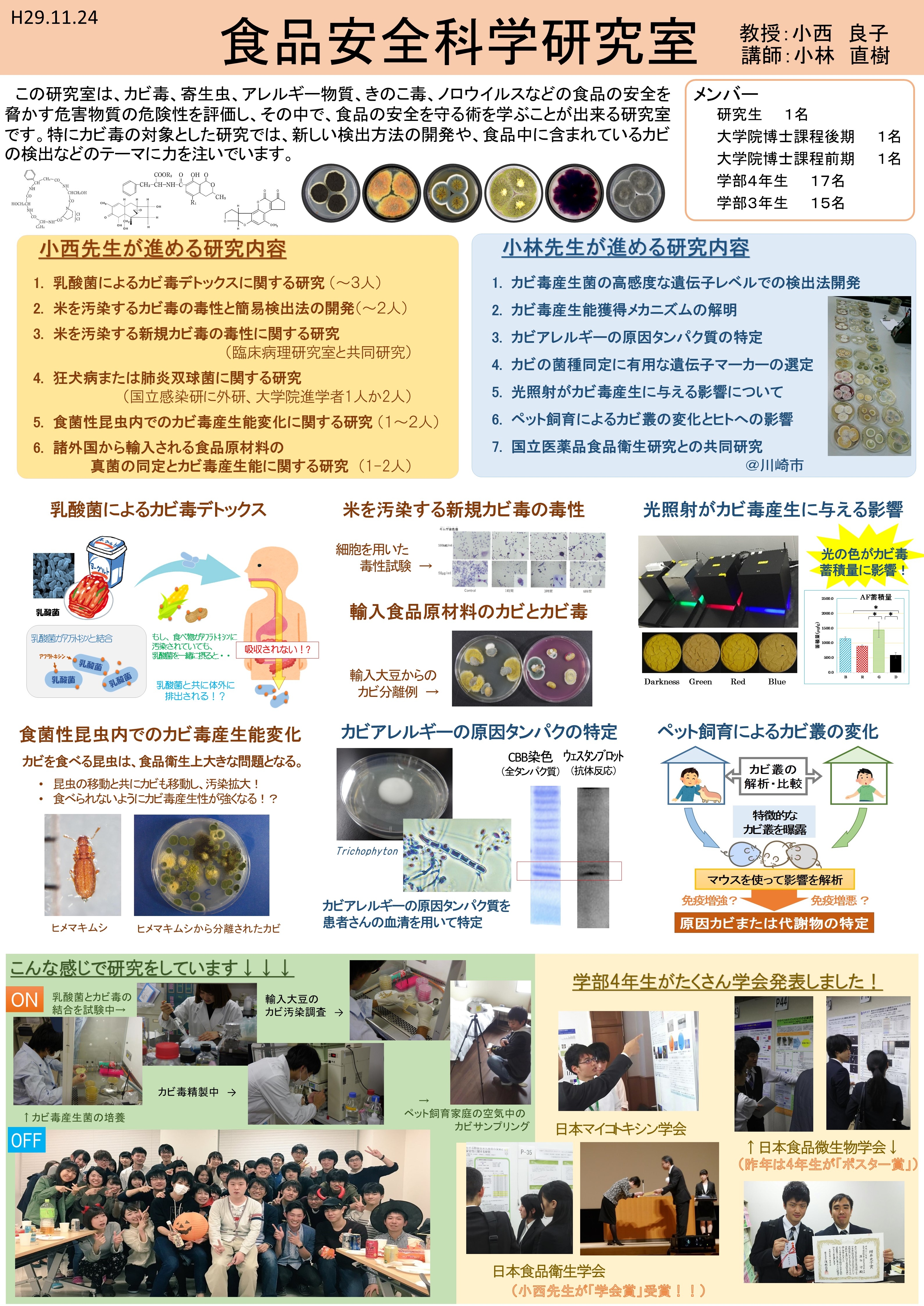 H29-lab-intro_02.jpg
