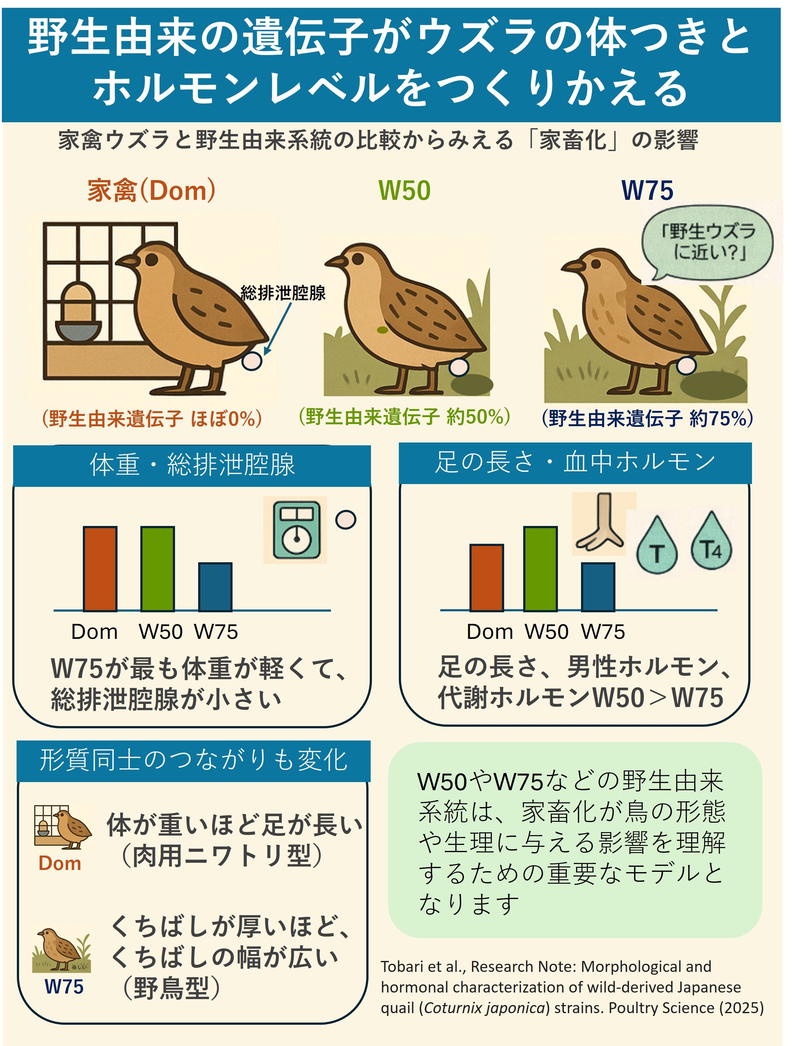 Graphical abstract.jpg