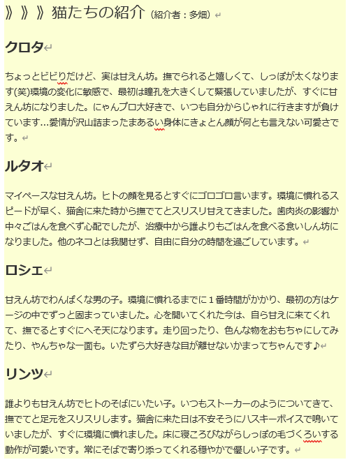 猫たちの紹介文.png