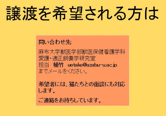 譲渡希望者連絡先.png