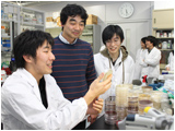 寒天平板に細菌を培養してその結果を確認しているところです。